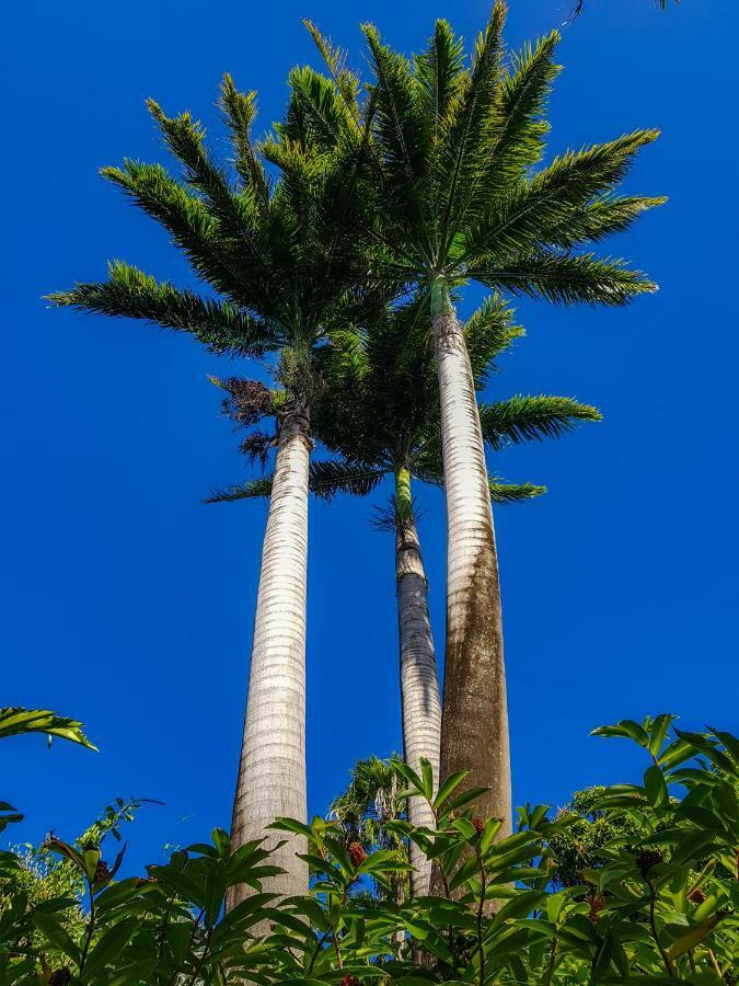 Blue Paradise Le Gosier  Exterior photo